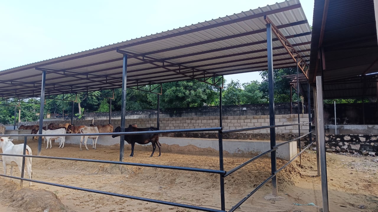 animal_welfare Welfare 3