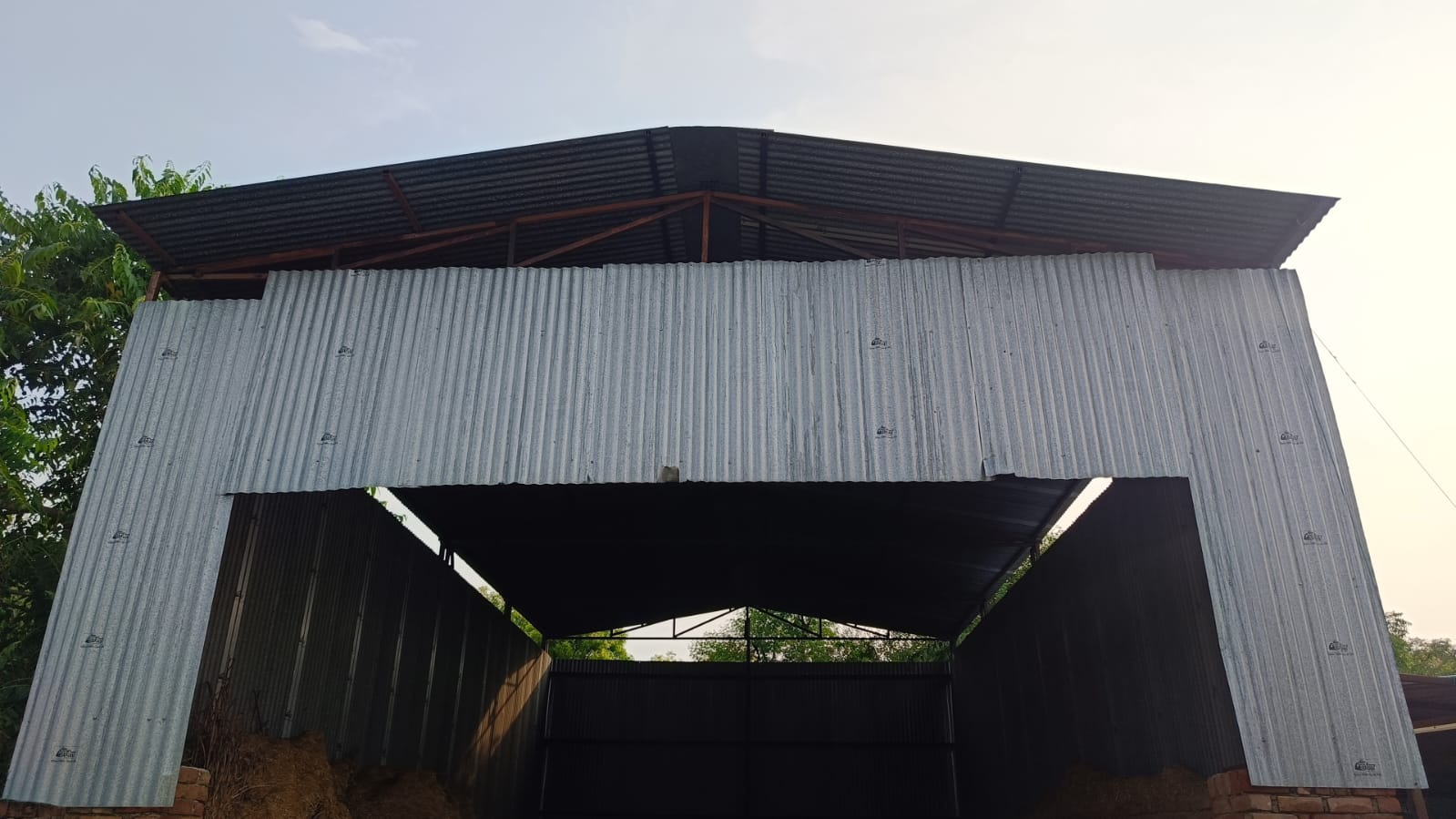 animal_welfare Welfare 4